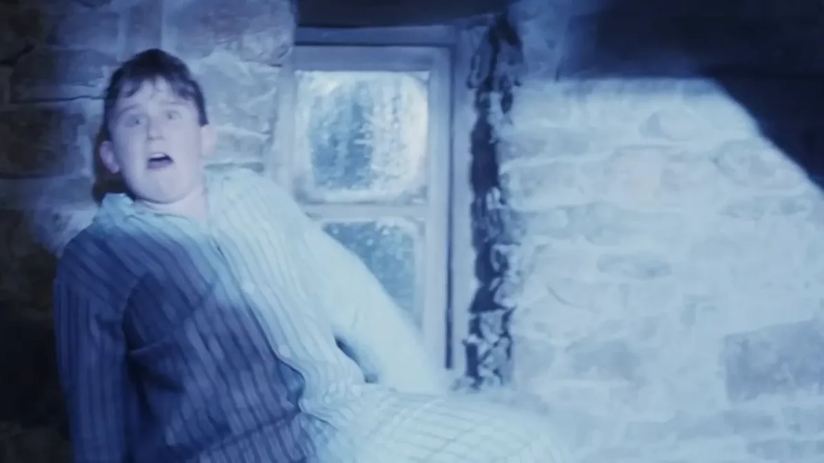 Yer a Wizard Harry - Harry Potter 1 thumbnail